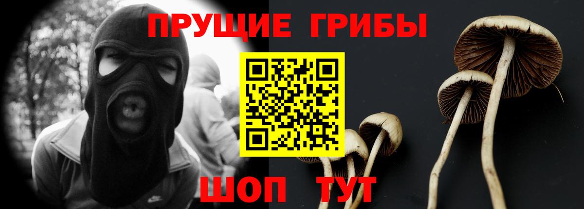 сколько стоит  Псилоцибиновые грибы прущие грибы  Татарск  Вход с VPN  Галлюциногенные грибы Magic Shrooms 